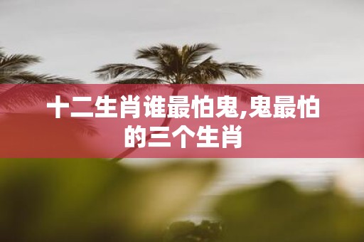 十二生肖谁最怕鬼,鬼最怕的三个生肖