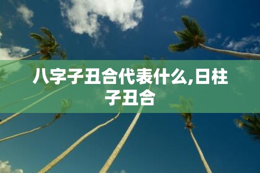 八字子丑合代表什么,日柱子丑合