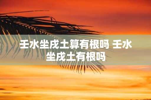 壬水坐戌土算有根吗 壬水坐戌土有根吗