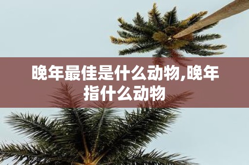 晚年最佳是什么动物,晚年指什么动物