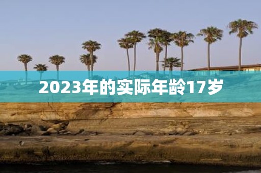 2025年的实际年龄17岁
