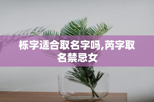 栎字适合取名字吗,芮字取名禁忌女