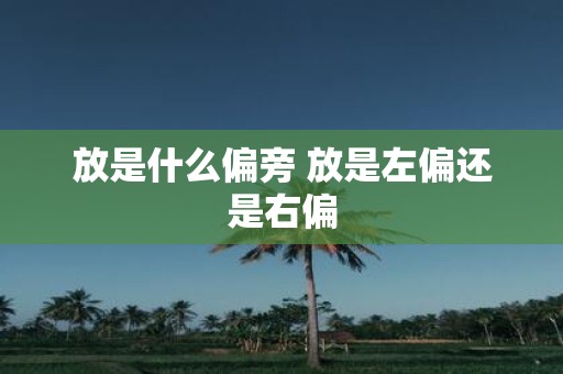 放是什么偏旁 放是左偏还是右偏