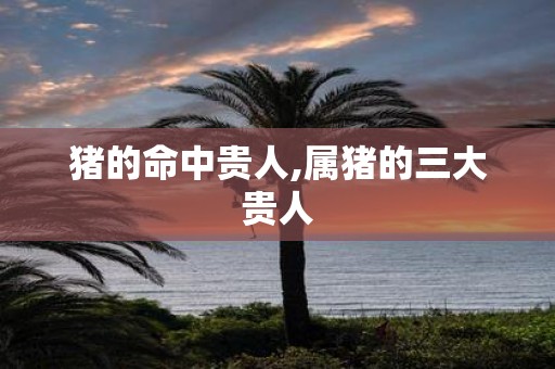猪的命中贵人,属猪的三大贵人