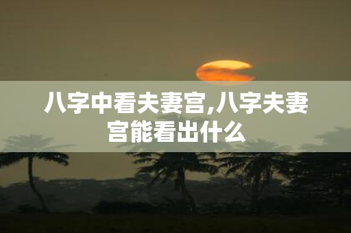 八字中看夫妻宫,八字夫妻宫能看出什么