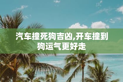 汽车撞死狗吉凶,开车撞到狗运气更好走