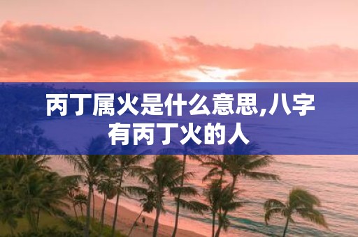 丙丁属火是什么意思,八字有丙丁火的人