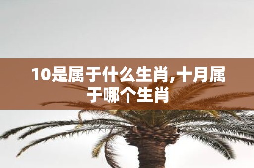 10是属于什么生肖,十月属于哪个生肖