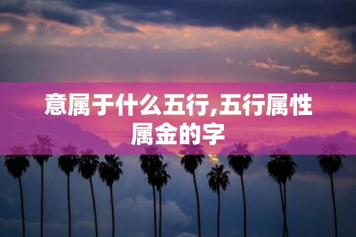 意属于什么五行,五行属性属金的字