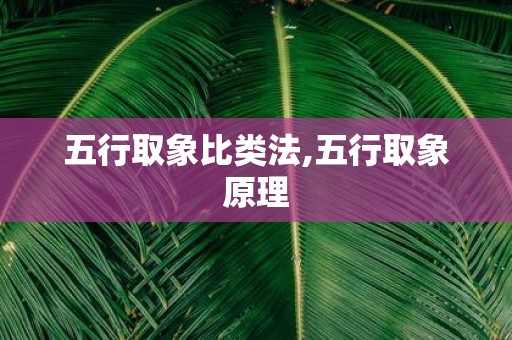五行取象比类法,五行取象原理