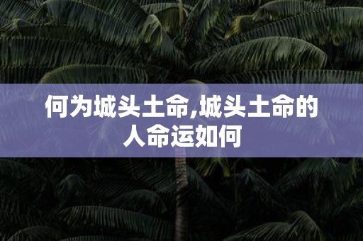 何为城头土命,城头土命的人命运如何