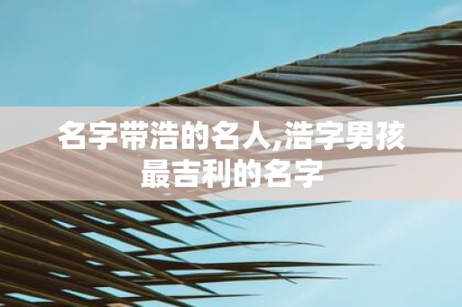 名字带浩的名人,浩字男孩最吉利的名字