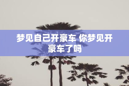 梦见自己开豪车 你梦见开豪车了吗