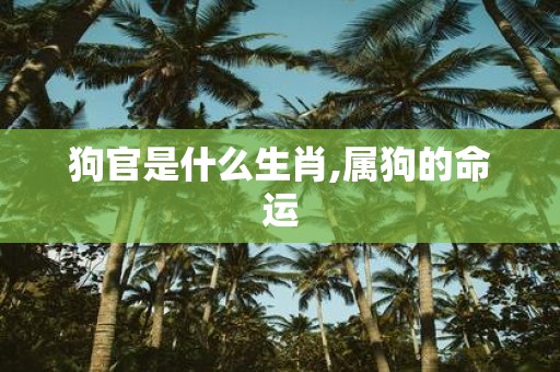 狗官是什么生肖,属狗的命运