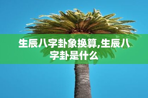 生辰八字卦象换算,生辰八字卦是什么