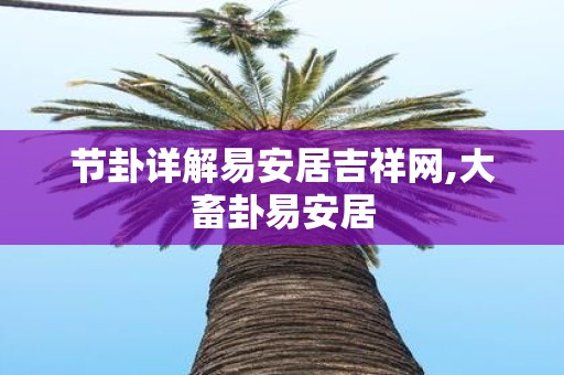 节卦详解易安居吉祥网,大畜卦易安居