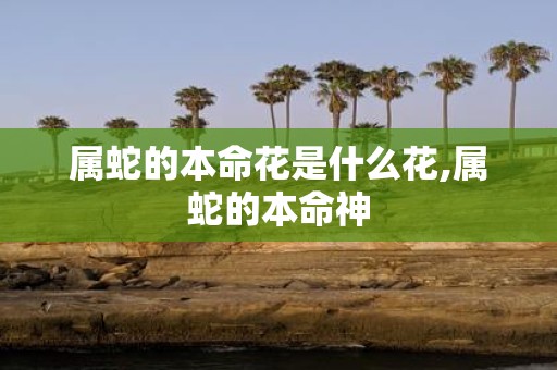 属蛇的本命花是什么花,属蛇的本命神