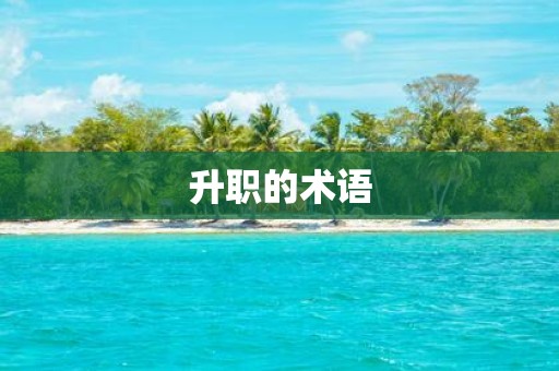 升职的术语