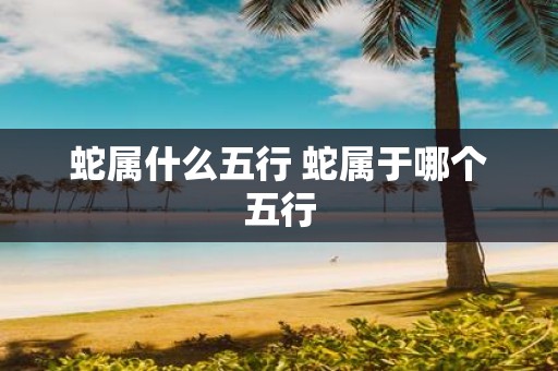 蛇属什么五行 蛇属于哪个五行