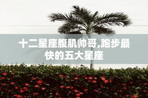 十二星座腹肌帅哥,跑步最快的五大星座