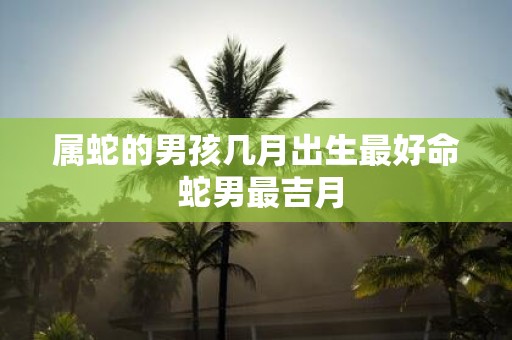 属蛇的男孩几月出生最好命 蛇男最吉月