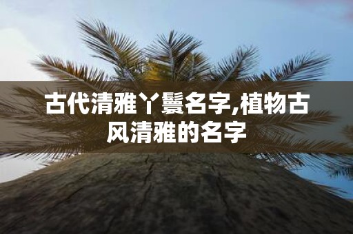 古代清雅丫鬟名字,植物古风清雅的名字