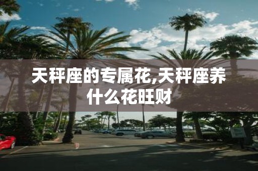 天秤座的专属花,天秤座养什么花旺财