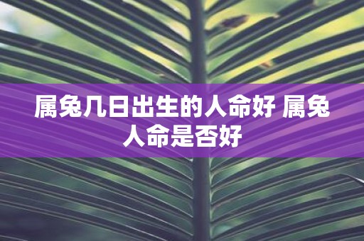 属兔几日出生的人命好 属兔人命是否好
