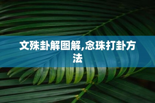 文殊卦解图解,念珠打卦方法