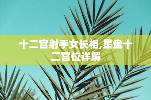 十二宫射手女长相,星盘十二宫位详解