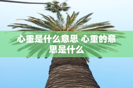 心重是什么意思 心重的意思是什么