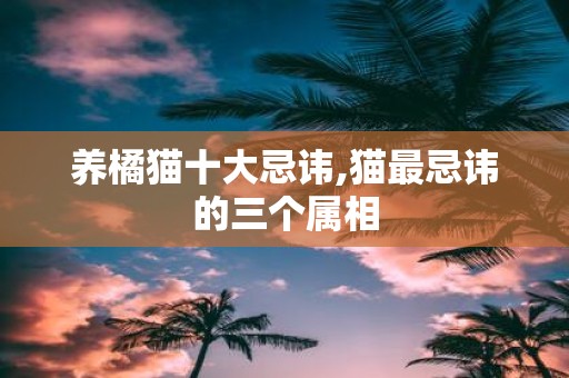 养橘猫十大忌讳,猫最忌讳的三个属相