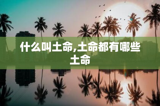 什么叫土命,土命都有哪些土命