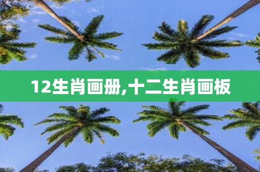 12生肖画册,十二生肖画板
