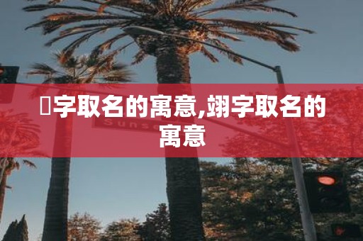珝字取名的寓意,翊字取名的寓意