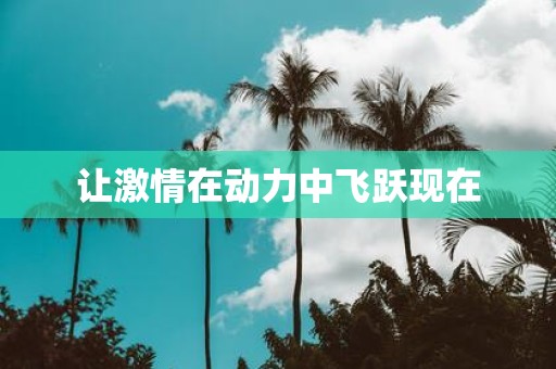 让激情在动力中飞跃现在