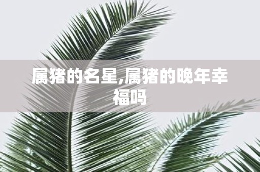 属猪的名星,属猪的晚年幸福吗