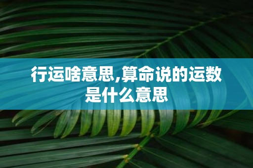 行运啥意思,算命说的运数是什么意思