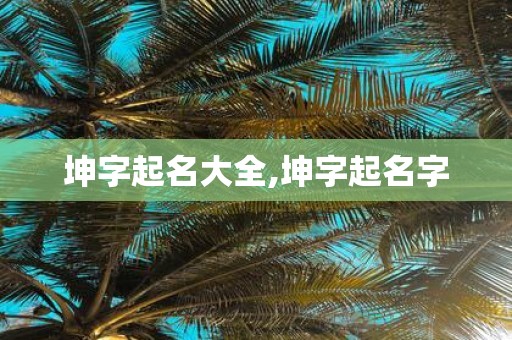 坤字起名大全,坤字起名字