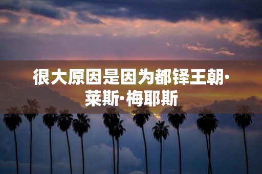 很大原因是因为都铎王朝·莱斯·梅耶斯