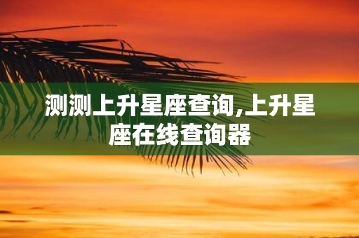 测测上升星座查询,上升星座在线查询器