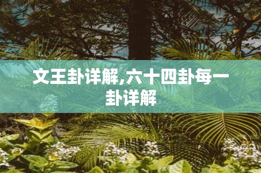 文王卦详解,六十四卦每一卦详解