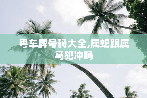粤车牌号码大全,属蛇跟属马犯冲吗