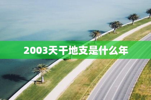 2003天干地支是什么年