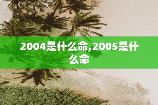2004是什么命,2005是什么命