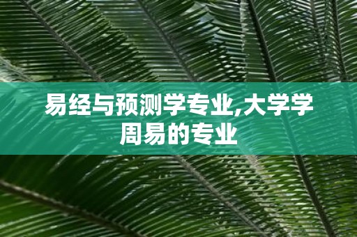 易经与预测学专业,大学学周易的专业