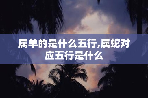 属羊的是什么五行,属蛇对应五行是什么