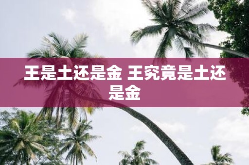 王是土还是金 王究竟是土还是金