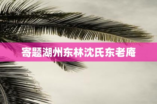寄题湖州东林沈氏东老庵