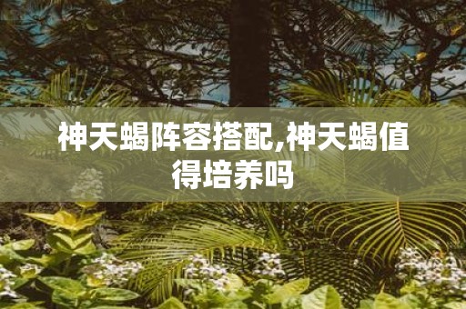神天蝎阵容搭配,神天蝎值得培养吗